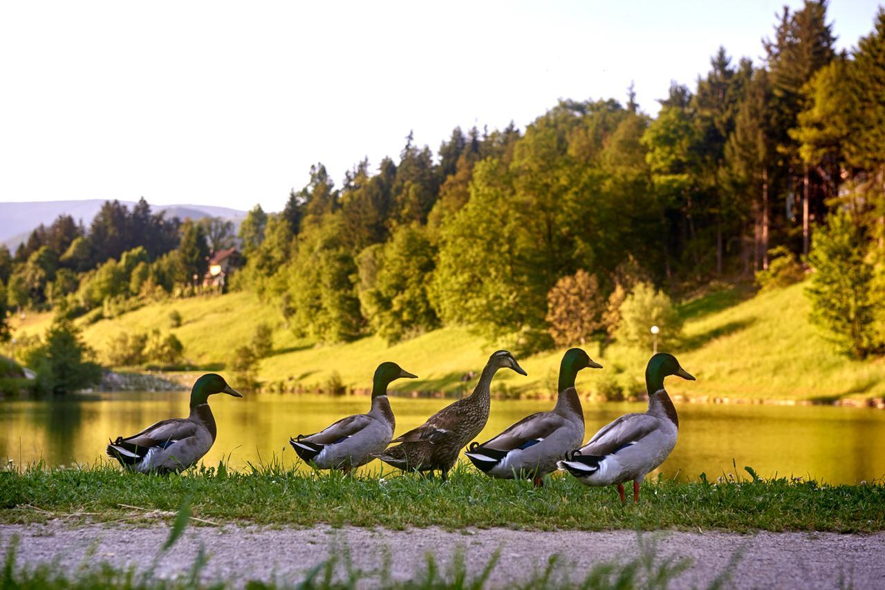 Terme Zrece - Vile Terme Zreče Exteriör bild